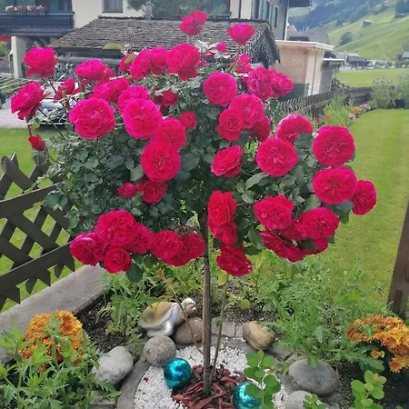 St. Christoph Homestay *