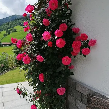 St. Christoph Homestay
