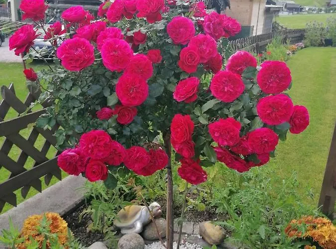 St. Christoph Homestay szállás *